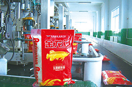 ɭ��������-׷�󿵽�,����һ������