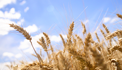 ɭ��������-׷�󿵽�,����һ������