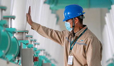 ɭ��������-׷�󿵽�,����һ������