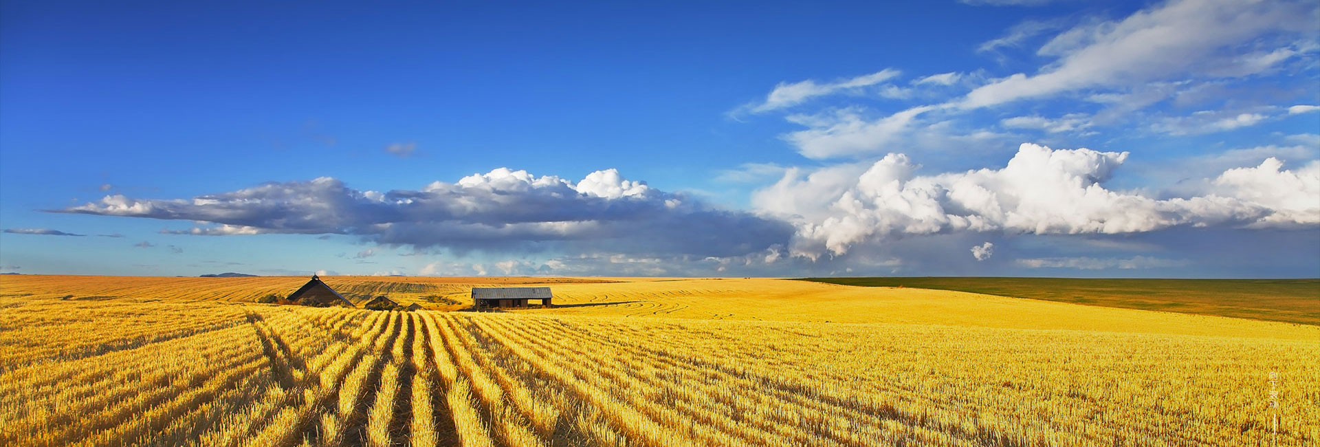 ɭ��������-׷�󿵽�,����һ������