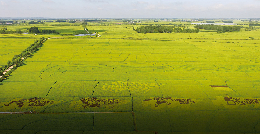 ɭ��������-׷�󿵽�,����һ������