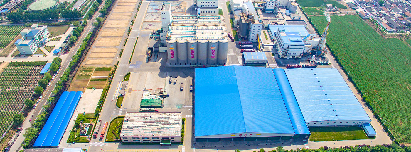 ɭ��������-׷�󿵽�,����һ������