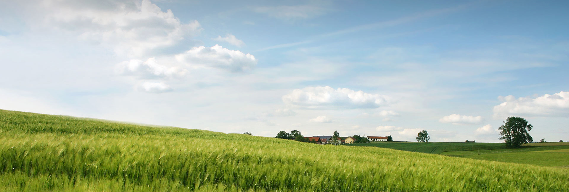 ɭ��������-׷�󿵽�,����һ������