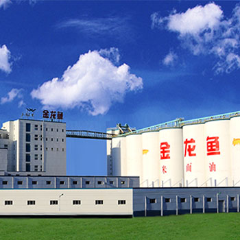 ɭ��������-׷�󿵽�,����һ������