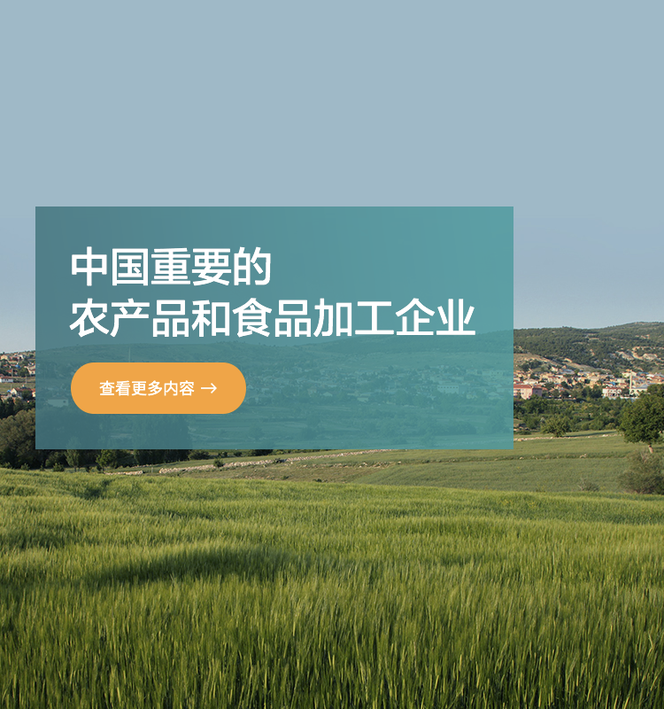 ɭ��������-׷�󿵽�,����һ������