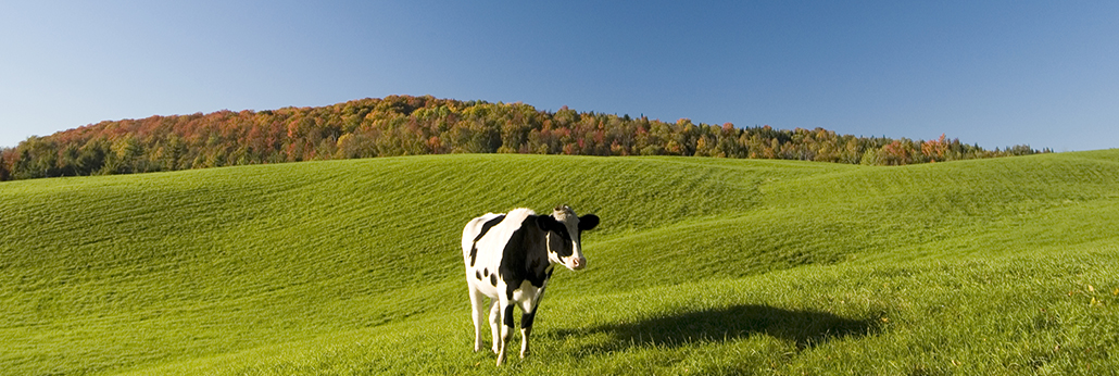 ɭ��������-׷�󿵽�,����һ������