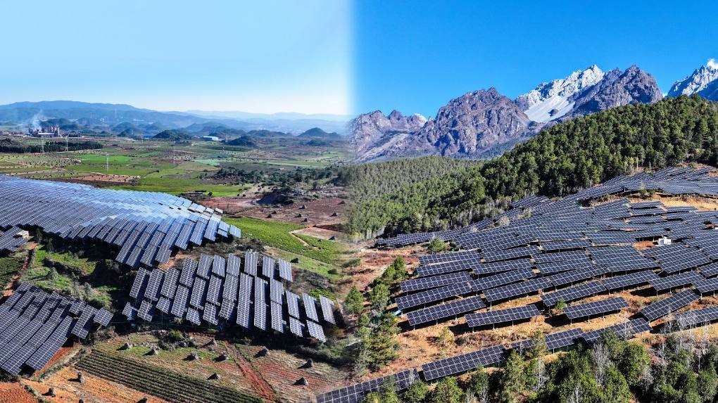 888���š����й������ٷ���վ